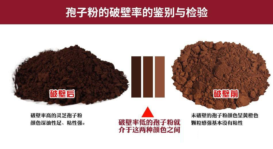 灵芝孢子粉破壁技术破壁率为多少?-第1张图片-卓越灵芝孢子粉 灵芝孢子粉破壁技术破壁率为多少?-第1张图片-卓越灵芝孢子粉