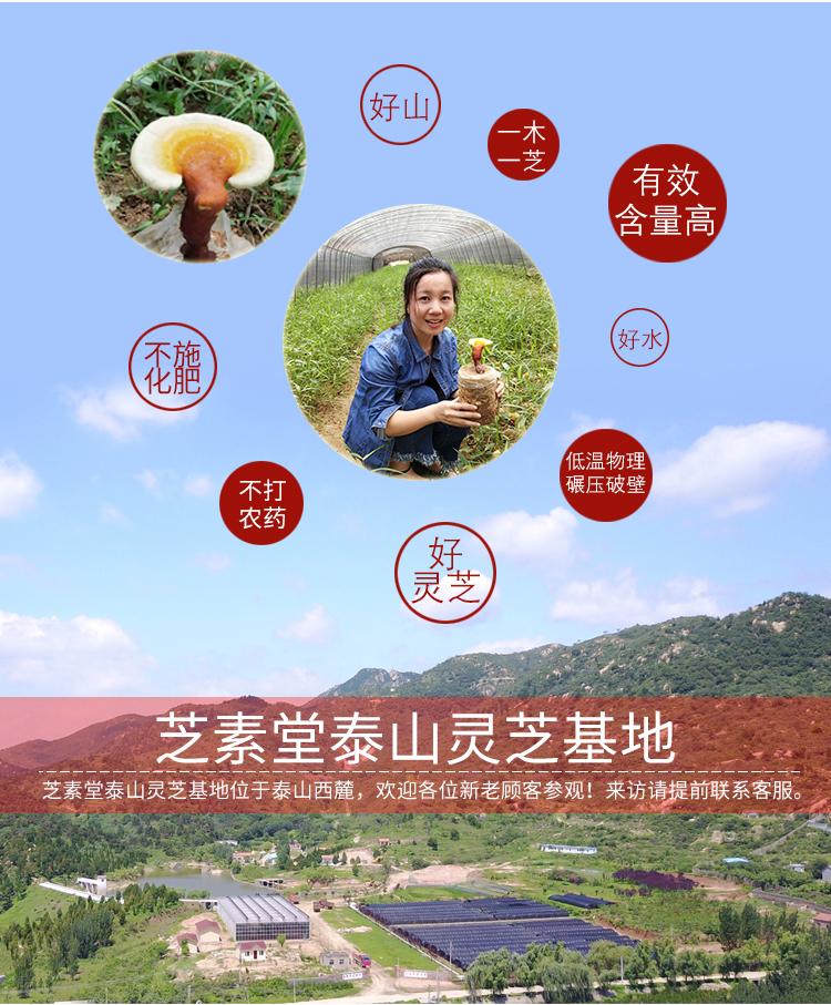 灵芝孢子粉哪里的好 呢?-第1张图片-卓越灵芝孢子粉 灵芝孢子粉哪里的好 呢?-第1张图片-卓越灵芝孢子粉