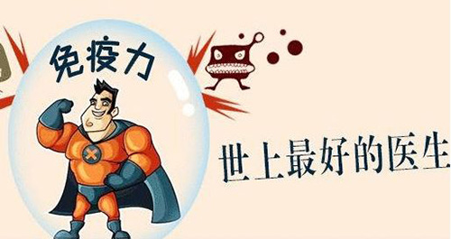 吃什么增强免疫力好？免疫力低可以吃灵芝孢子粉吗？-第1张图片-卓越灵芝孢子粉