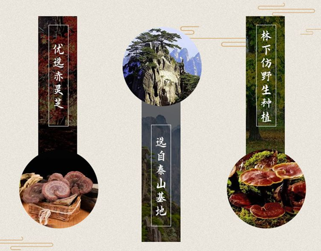 灵芝孢子粉哪里的好？泰山灵芝孢子粉好吗？-第1张图片-卓越灵芝孢子粉
