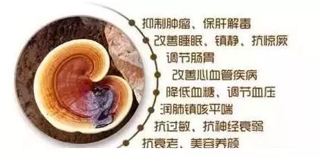 灵芝孢子粉怎样？吃灵芝孢子粉有用？-第1张图片-卓越灵芝孢子粉