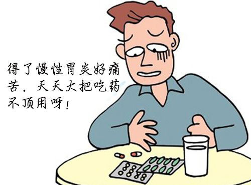 灵芝孢子粉的功用之保护肠胃-第1张图片-卓越灵芝孢子粉