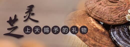 灵芝孢子粉的功用之缓解风湿痛-第1张图片-卓越灵芝孢子粉