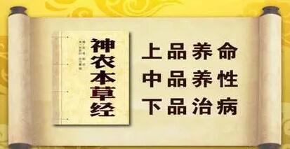 为什么说灵芝孢子粉的功用是中老年人、亚健康人群提高免疫力的首选佳品？-第1张图片-卓越灵芝孢子粉
