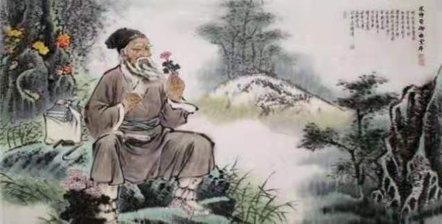 灵芝孢子粉的功用适合骨质疏松的人群吗？-第1张图片-卓越灵芝孢子粉