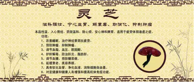 灵芝孢子粉的功用 除了抗肿瘤还有这些妙用-第1张图片-卓越灵芝孢子粉