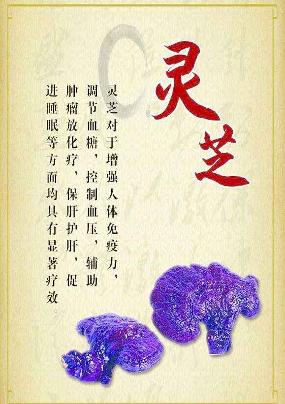 灵芝孢子粉有什么作用？提高免疫力真有那么好的效果吗？-第1张图片-卓越灵芝孢子粉