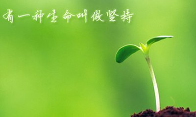 灵芝孢子粉吃多久会有效果?-第1张图片-卓越灵芝孢子粉 灵芝孢子粉吃多久会有效果?-第1张图片-卓越灵芝孢子粉