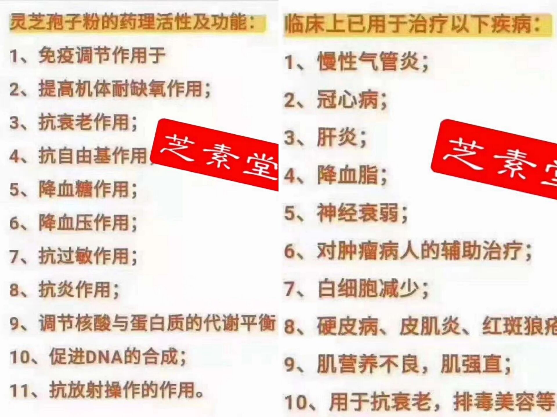 灵芝孢子粉有什么作用?灵芝孢子粉是治什么的?-第1张图片-卓越灵芝孢子粉 灵芝孢子粉有什么作用?灵芝孢子粉是治什么的?-第1张图片-卓越灵芝孢子粉