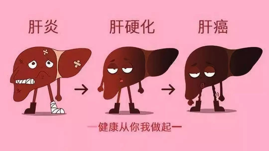灵芝孢子粉作用适合经常喝酒应酬的人保肝护肝吗？-第1张图片-卓越灵芝孢子粉