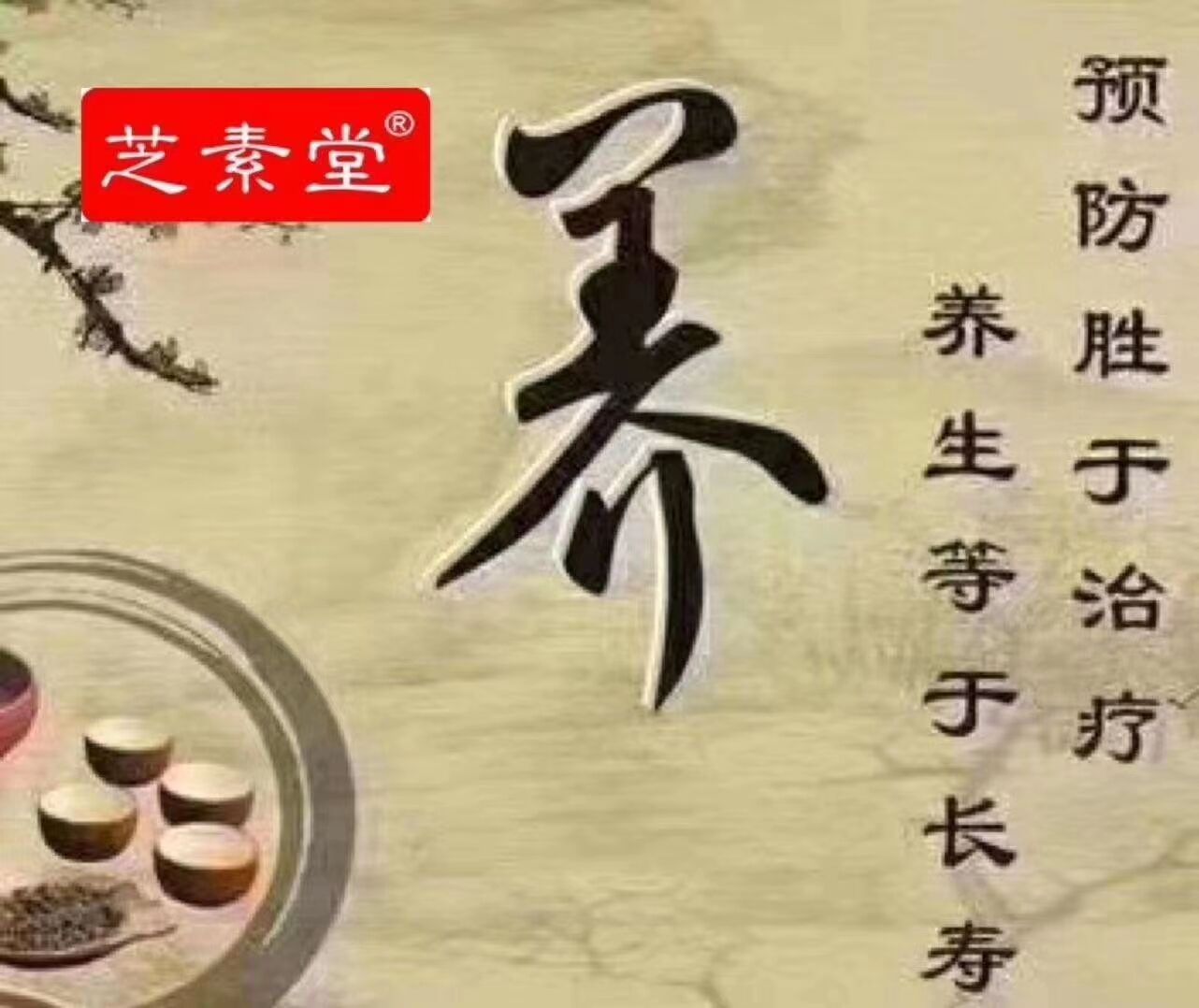 灵芝孢子粉的禁忌-第1张图片-卓岳灵芝孢子粉