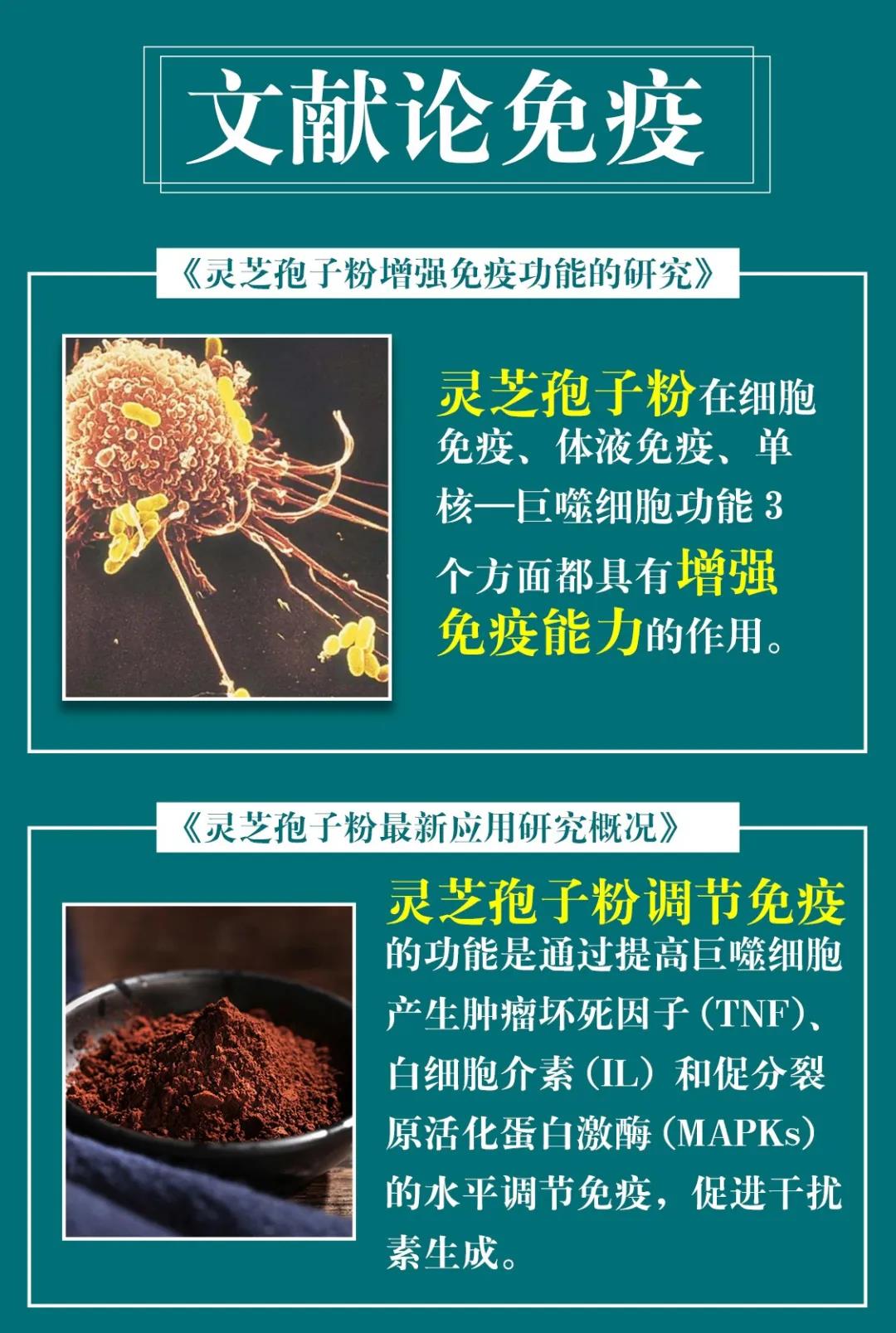 提高免疫力吃灵芝孢子粉有用吗?-第1张图片-卓越灵芝孢子粉