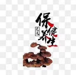 灵芝孢子粉作用适合体虚的人提高免疫力吗？-第1张图片-卓越灵芝孢子粉