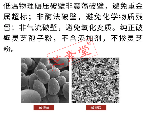 为何灵芝孢子粉破壁和不破壁的价格高低不同？-第1张图片-卓越灵芝孢子粉