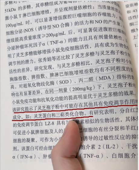 灵芝孢子粉的主要功效是什么？别再傻傻分不清了！-第1张图片-卓越灵芝孢子粉