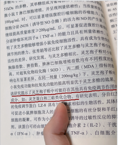 灵芝孢子粉的主要功效是什么？别再傻傻分不清了！-第1张图片-卓岳灵芝孢子粉