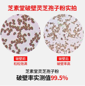 灵芝孢子粉可以放在中药里煎服吗？原来还有分类！-第2张图片-卓越灵芝孢子粉