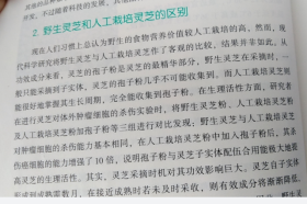 灵芝孢子粉是野生的还是人工的好?这篇文章都说明了！-第3张图片-卓越灵芝孢子粉