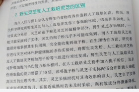 灵芝孢子粉是野生的还是人工的好?这篇文章都说明了！-第3张图片-卓岳灵芝孢子粉