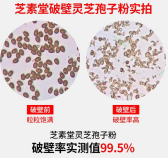 选择破壁灵芝孢子粉的禁忌，第三条几乎所有人都中了！-第1张图片-卓越灵芝孢子粉