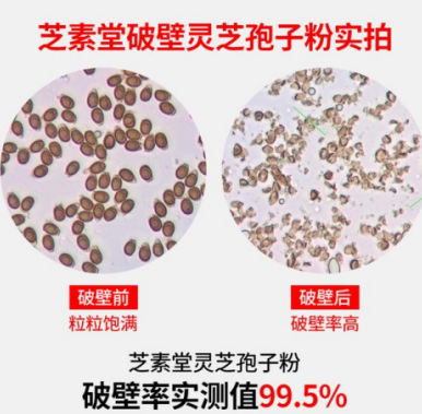灵芝孢子粉孩子能吃吗？灵芝孢子粉适宜人群有哪些？-第1张图片-卓越灵芝孢子粉