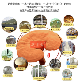 灵芝孢子粉睡前吃好吗，这几个时间吃灵芝孢子粉效果异常的好-第1张图片-卓越灵芝孢子粉