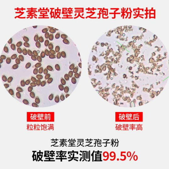 灵芝孢子粉的用处，还不知道的就太亏了！-第1张图片-卓越灵芝孢子粉