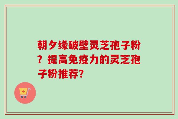 朝夕缘破壁灵芝孢子粉?提高免疫力的灵芝孢子粉推荐?-第1张图片-卓越灵芝孢子粉 朝夕缘破壁灵芝孢子粉?提高免疫力的灵芝孢子粉推荐?-第1张图片-卓越灵芝孢子粉
