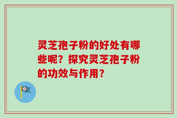 灵芝孢子粉的好处有哪些呢？探究灵芝孢子粉的功效与作用？-第1张图片-卓越灵芝孢子粉