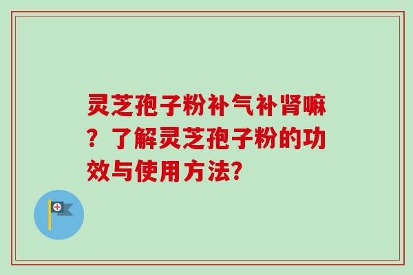 灵芝孢子粉补气补肾嘛?了解灵芝孢子粉的功效与使用方法?-第1张图片-卓越灵芝孢子粉 灵芝孢子粉补气补肾嘛?了解灵芝孢子粉的功效与使用方法?-第1张图片-卓越灵芝孢子粉