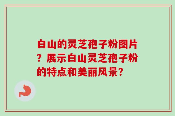 白山的灵芝孢子粉图片?展示白山灵芝孢子粉的特点和美丽风景?-第1张图片-卓越灵芝孢子粉 白山的灵芝孢子粉图片?展示白山灵芝孢子粉的特点和美丽风景?-第1张图片-卓越灵芝孢子粉