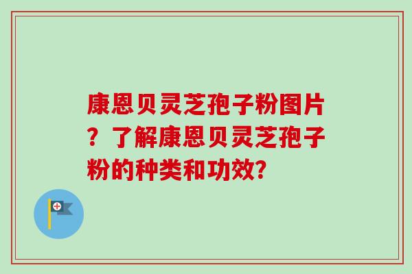 康恩贝灵芝孢子粉图片?了解康恩贝灵芝孢子粉的种类和功效?-第1张图片-卓越灵芝孢子粉 康恩贝灵芝孢子粉图片?了解康恩贝灵芝孢子粉的种类和功效?-第1张图片-卓越灵芝孢子粉