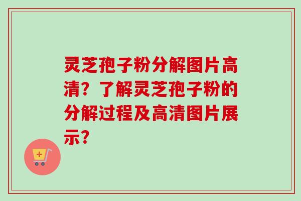 灵芝孢子粉分解图片高清?了解灵芝孢子粉的分解过程及高清图片展示?-第1张图片-卓越灵芝孢子粉 灵芝孢子粉分解图片高清?了解灵芝孢子粉的分解过程及高清图片展示?-第1张图片-卓越灵芝孢子粉