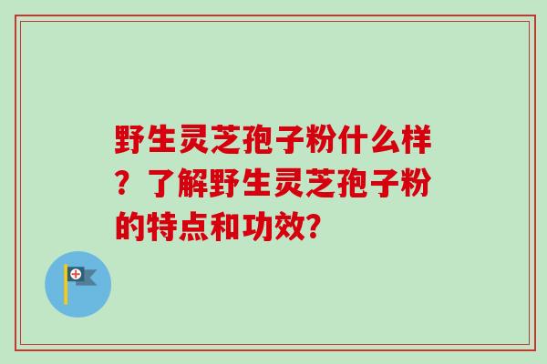 野生灵芝孢子粉什么样？了解野生灵芝孢子粉的特点和功效？-第1张图片-卓越灵芝孢子粉