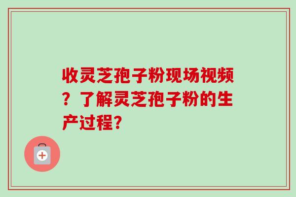 收灵芝孢子粉现场视频？了解灵芝孢子粉的生产过程？-第1张图片-卓越灵芝孢子粉