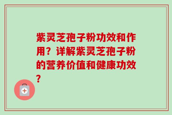 紫灵芝孢子粉功效和作用?详解紫灵芝孢子粉的营养价值和健康功效?-第1张图片-卓越灵芝孢子粉 紫灵芝孢子粉功效和作用?详解紫灵芝孢子粉的营养价值和健康功效?-第1张图片-卓越灵芝孢子粉