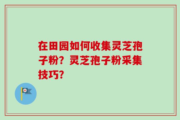 在田园如何收集灵芝孢子粉？灵芝孢子粉采集技巧？-第1张图片-卓越灵芝孢子粉