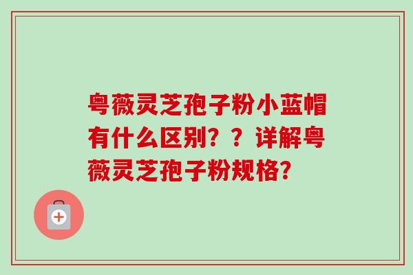 粤薇灵芝孢子粉小蓝帽有什么区别??详解粤薇灵芝孢子粉规格?-第1张图片-卓越灵芝孢子粉 粤薇灵芝孢子粉小蓝帽有什么区别??详解粤薇灵芝孢子粉规格?-第1张图片-卓越灵芝孢子粉