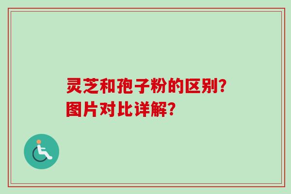 灵芝和孢子粉的区别?图片对比详解?-第1张图片-卓越灵芝孢子粉 灵芝和孢子粉的区别?图片对比详解?-第1张图片-卓越灵芝孢子粉
