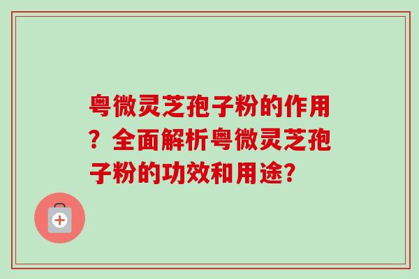 粤微灵芝孢子粉的作用?全面解析粤微灵芝孢子粉的功效和用途?-第1张图片-卓越灵芝孢子粉 粤微灵芝孢子粉的作用?全面解析粤微灵芝孢子粉的功效和用途?-第1张图片-卓越灵芝孢子粉