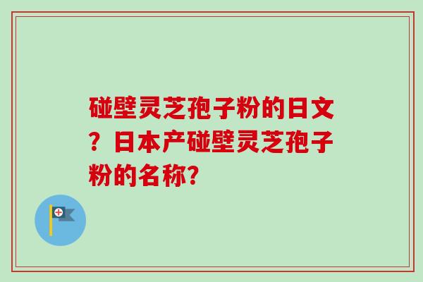 碰壁灵芝孢子粉的日文?日本产碰壁灵芝孢子粉的名称?-第1张图片-卓越灵芝孢子粉 碰壁灵芝孢子粉的日文?日本产碰壁灵芝孢子粉的名称?-第1张图片-卓越灵芝孢子粉