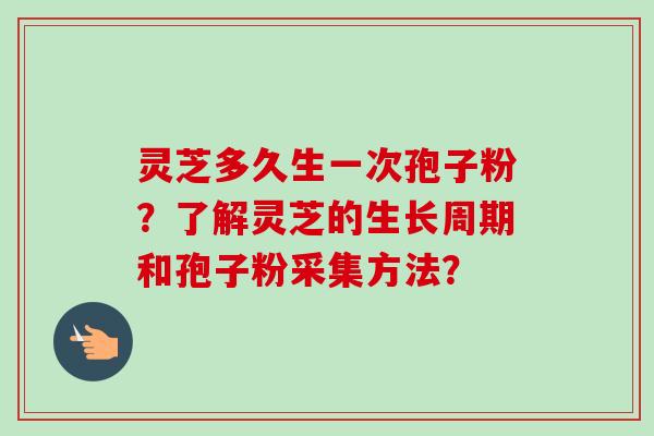 灵芝多久生一次孢子粉？了解灵芝的生长周期和孢子粉采集方法？-第1张图片-卓越灵芝孢子粉