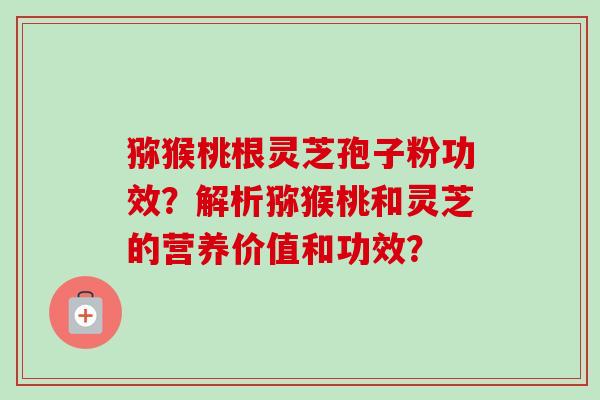 猕猴桃根灵芝孢子粉功效?解析猕猴桃和灵芝的营养价值和功效?-第1张图片-卓越灵芝孢子粉 猕猴桃根灵芝孢子粉功效?解析猕猴桃和灵芝的营养价值和功效?-第1张图片-卓越灵芝孢子粉