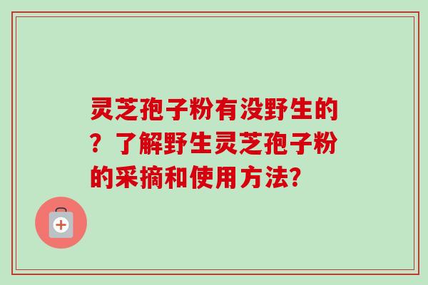 灵芝孢子粉有没野生的？了解野生灵芝孢子粉的采摘和使用方法？-第1张图片-卓越灵芝孢子粉