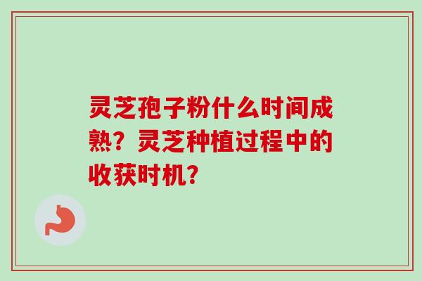 灵芝孢子粉什么时间成熟？灵芝种植过程中的收获时机？-第1张图片-卓越灵芝孢子粉