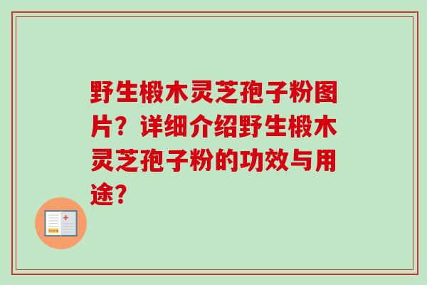 野生椴木灵芝孢子粉图片?详细介绍野生椴木灵芝孢子粉的功效与用途?-第1张图片-卓越灵芝孢子粉 野生椴木灵芝孢子粉图片?详细介绍野生椴木灵芝孢子粉的功效与用途?-第1张图片-卓越灵芝孢子粉