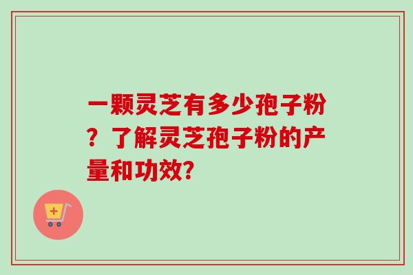 一颗灵芝有多少孢子粉？了解灵芝孢子粉的产量和功效？-第1张图片-卓越灵芝孢子粉