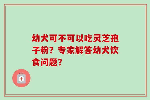 幼犬可不可以吃灵芝孢子粉?专家解答幼犬饮食问题?-第1张图片-卓越灵芝孢子粉 幼犬可不可以吃灵芝孢子粉?专家解答幼犬饮食问题?-第1张图片-卓越灵芝孢子粉