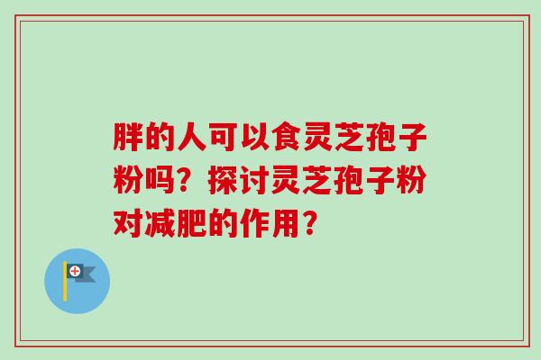 胖的人可以食灵芝孢子粉吗?探讨灵芝孢子粉对减肥的作用?-第1张图片-卓越灵芝孢子粉 胖的人可以食灵芝孢子粉吗?探讨灵芝孢子粉对减肥的作用?-第1张图片-卓越灵芝孢子粉