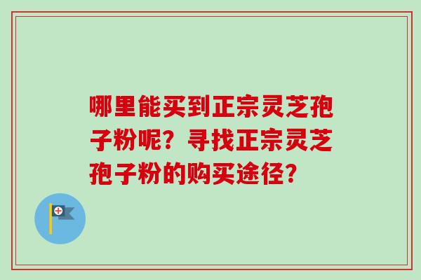 哪里能买到正宗灵芝孢子粉呢？寻找正宗灵芝孢子粉的购买途径？-第1张图片-卓越灵芝孢子粉